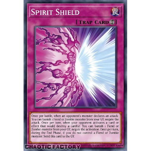 MZTM-EN035 Spirit Shield Rare 1st Edition NM