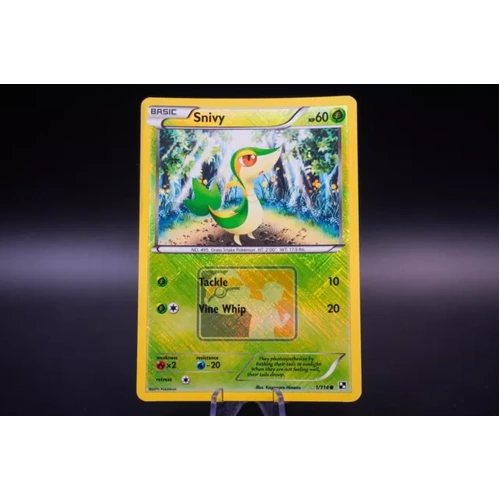 Snivy - 1/114 - BW Base Set - Cross Hatch League Promo - NM