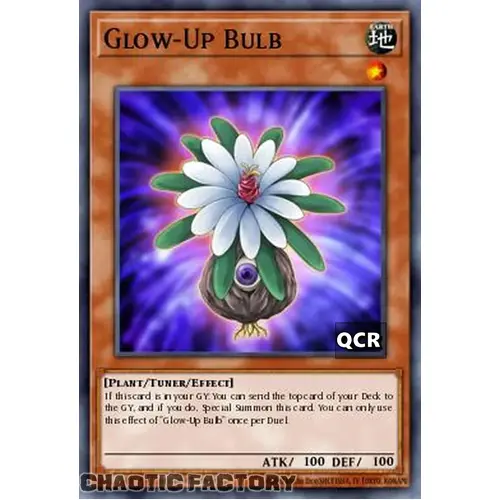 RA03-EN245 Glow-Up Bulb Quarter Century Secret Rare 1st Edition NM