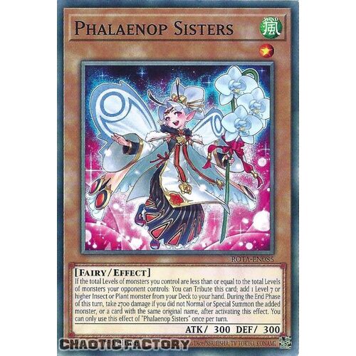 ROTA-EN085 Phalaenop Sisters Common 1st Edition NM