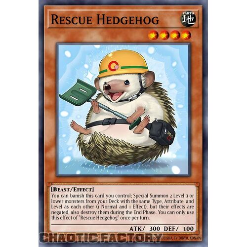 ROTA-EN097 Rescue Hedgehog Super Rare 1st Edition NM