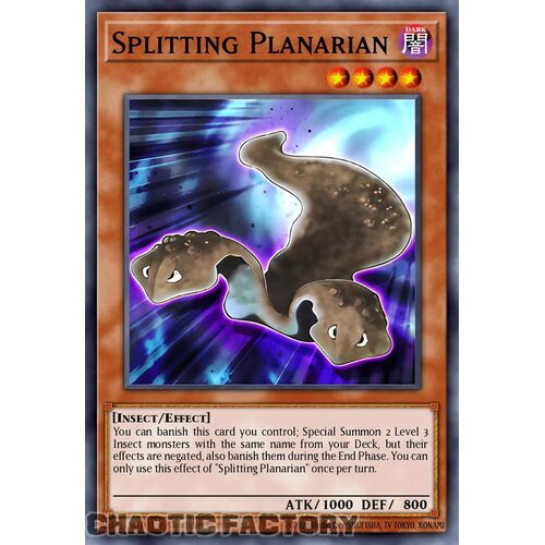 ROTA-EN100 Splitting Planarian Super Rare 1st Edition NM