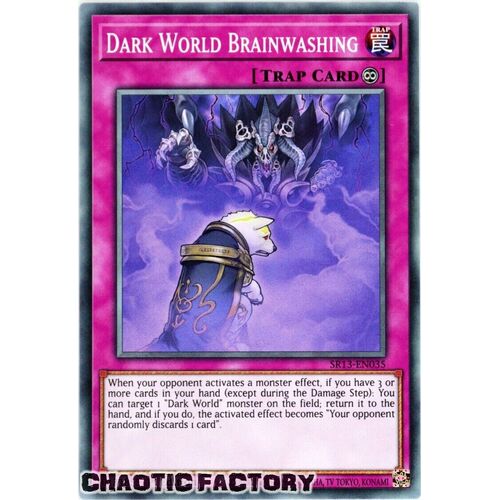 SR13-EN035 Dark World Brainwashing Common 1st Edition NM