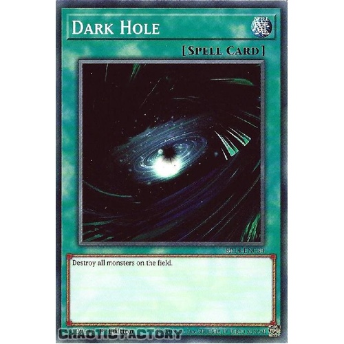 SR14-EN030 Dark Hole Common 1st Edition NM